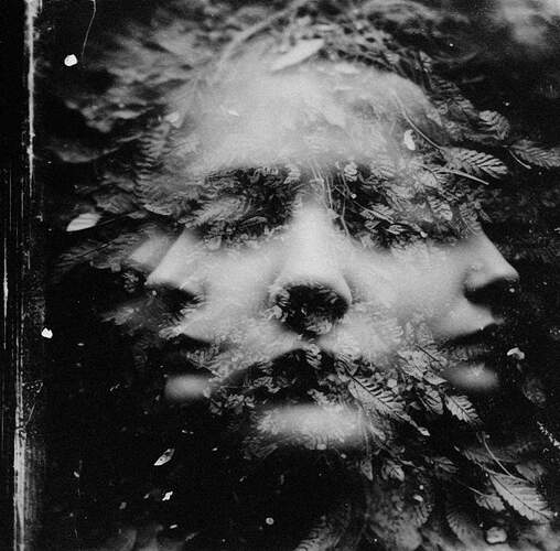 FB_IMG_1702510599278