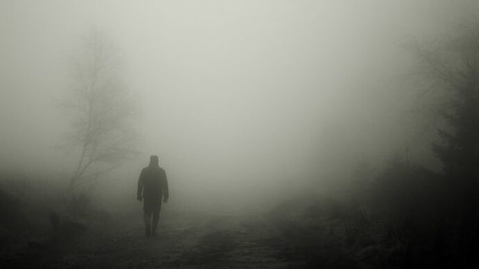 niebla-solitario-solo-desolacion-737x415