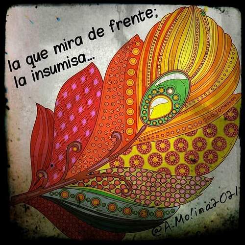 FB_IMG_1709679479698