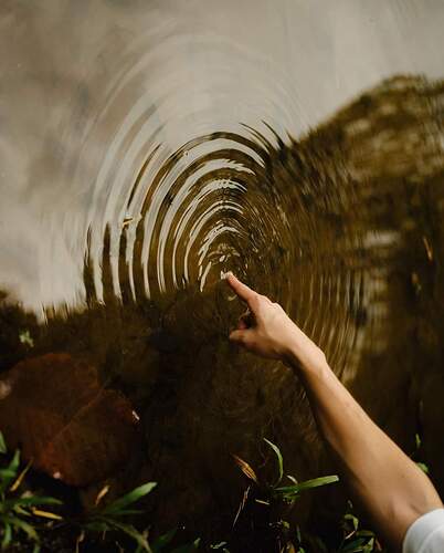 FB_IMG_1727130255156