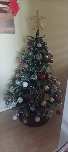 470630297_10236454265005005_986003626644765771_n