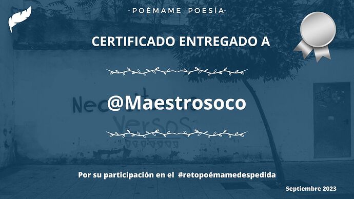 005 - Maestrosoco