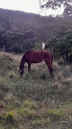 615794416_122231908316145605_115074622997957403_n