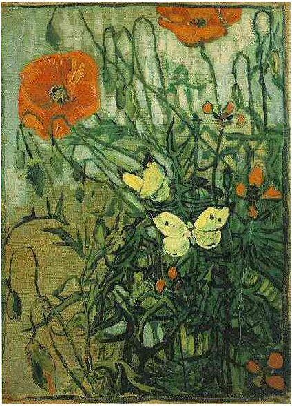 Amapolas-y-mariposas