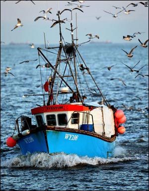 summer-fishing