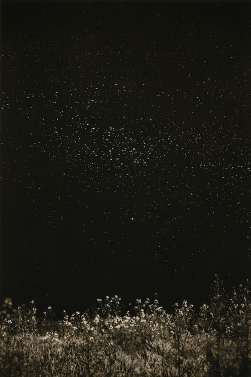 Masao Yamamoto