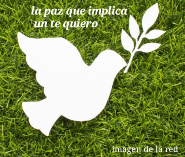 173  PAZ
