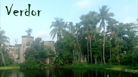 verdor1