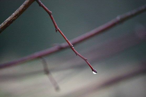 IMG_20221012_142227