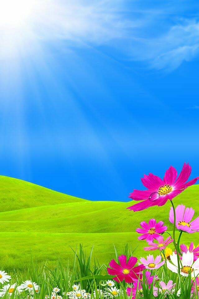 7670dc0f0cb6cb159ce9619fd08da14b