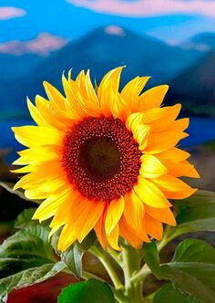 75d1273b2f10b9a9368f36bfaf4438d2