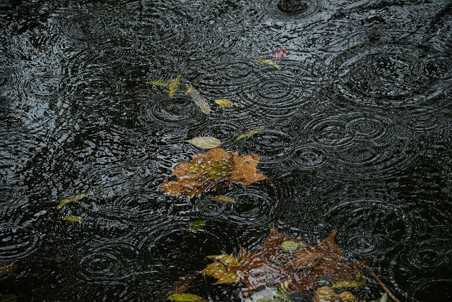 lluvia circulos Chulmin1700 Pixabay