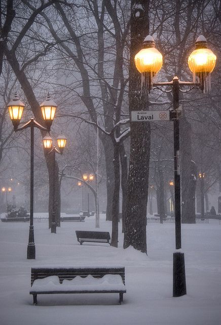Montreal Winter - St_ Louis Square, Le Plateau