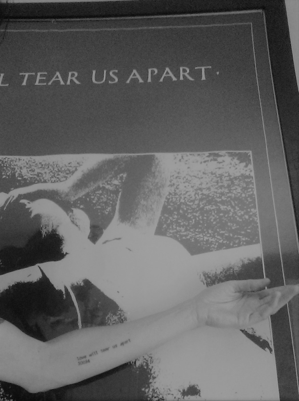 tear us apart