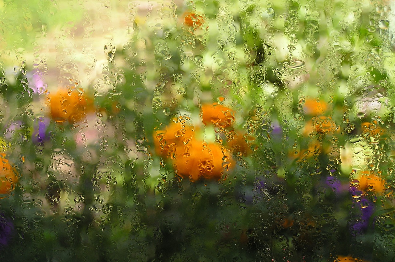 lluvia flores pixabay Purgin_Alexandr