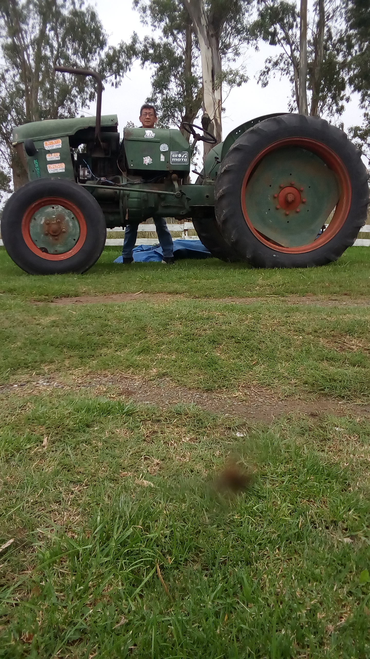 elegía para un tractor